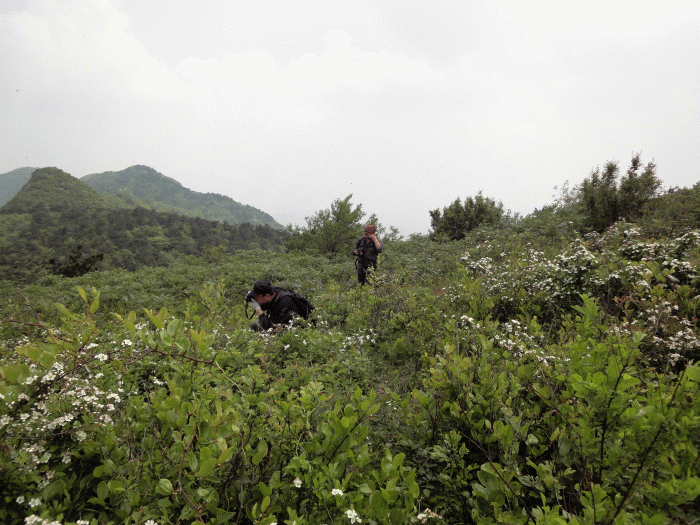 dsc09369.gif
