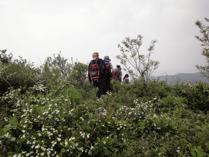 dsc09370.gif