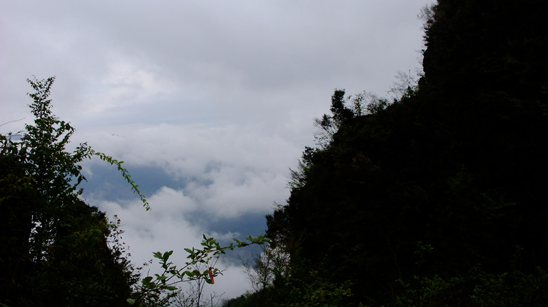 dscf5218_.jpg