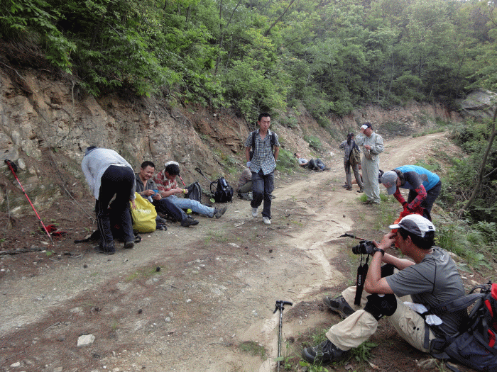 dsc09377.gif