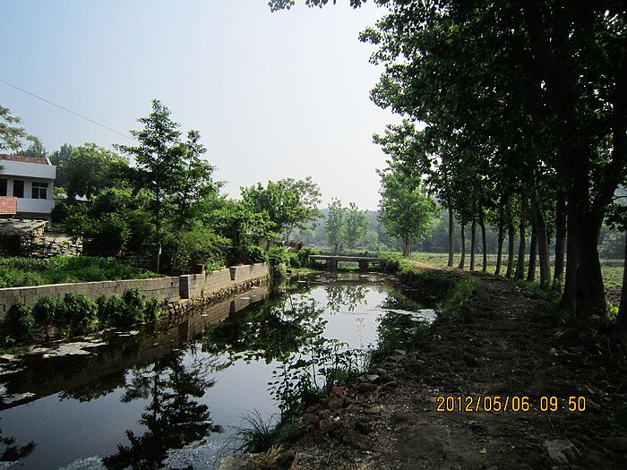 neo_img_img_3536.jpg