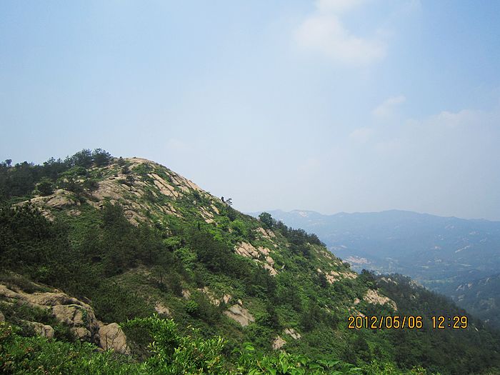 neo_img_img_3554.jpg