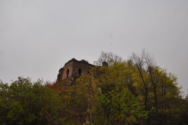 20120429һ۵_440_С.jpg