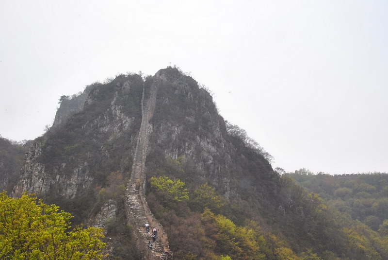 20120429һ۵_450_С.jpg
