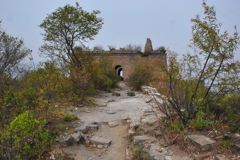 20120429һ۵_457_С.jpg