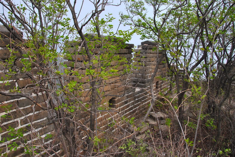 20120429һ۵_468_С.jpg