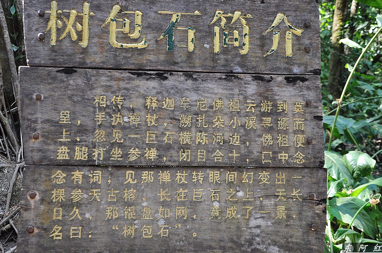 dsc_0837.jpg