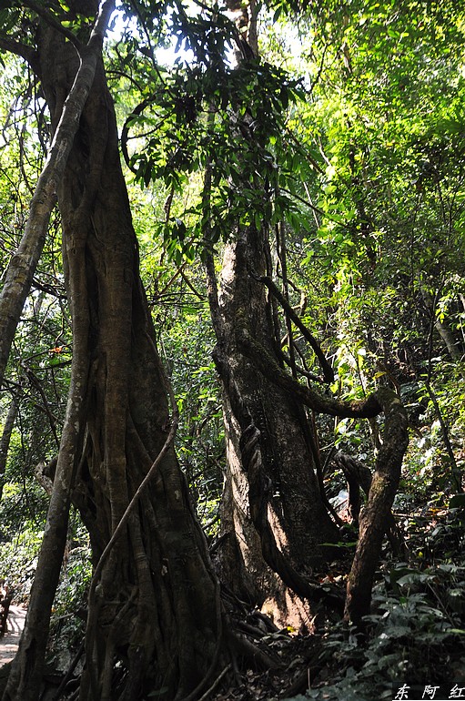 dsc_0843.jpg