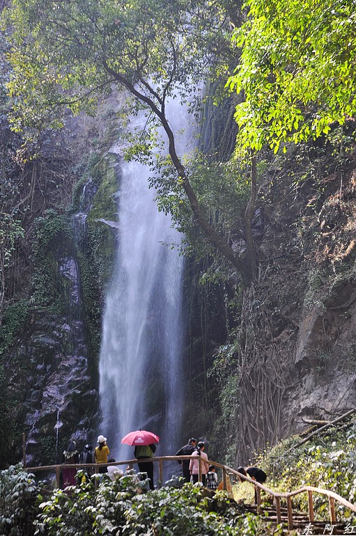 dsc_0845.jpg