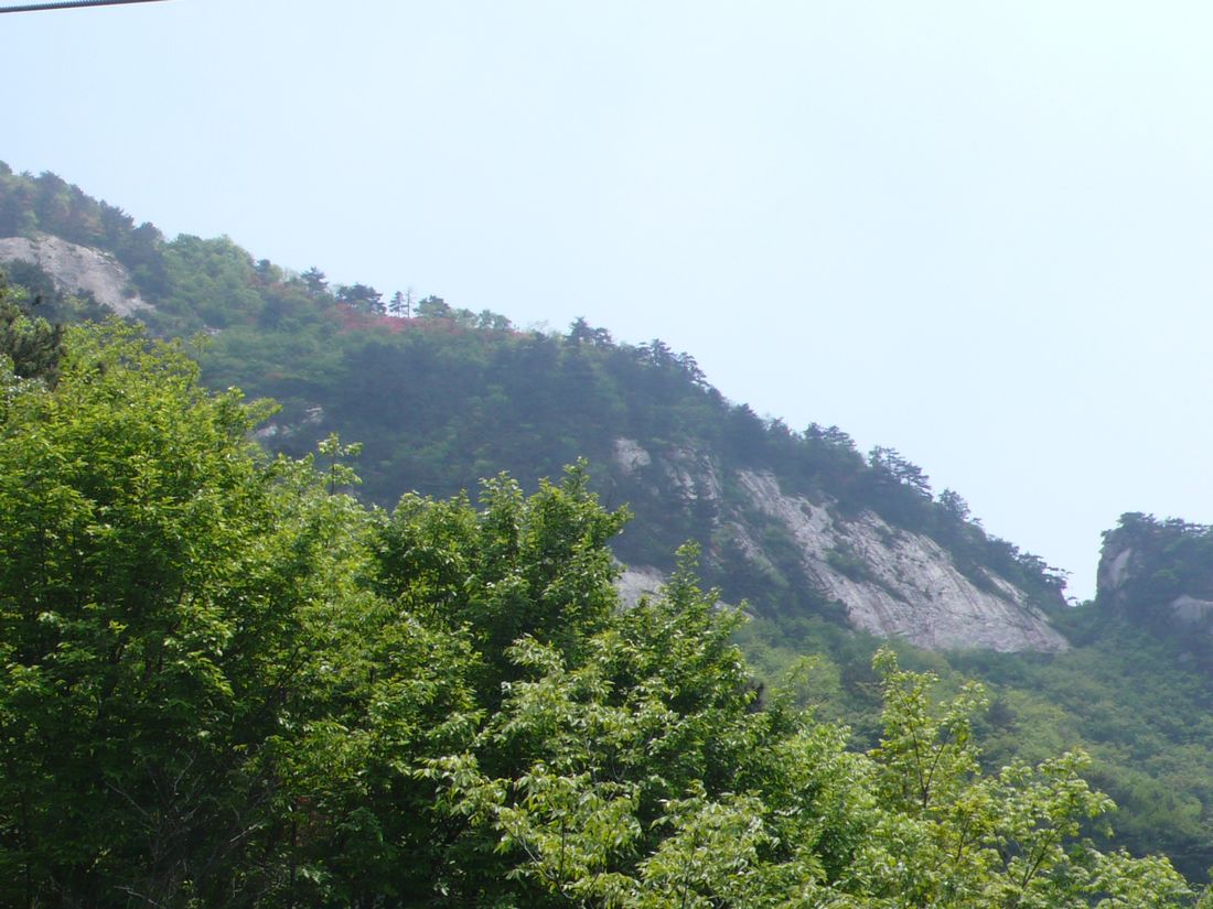 l1120300.jpg