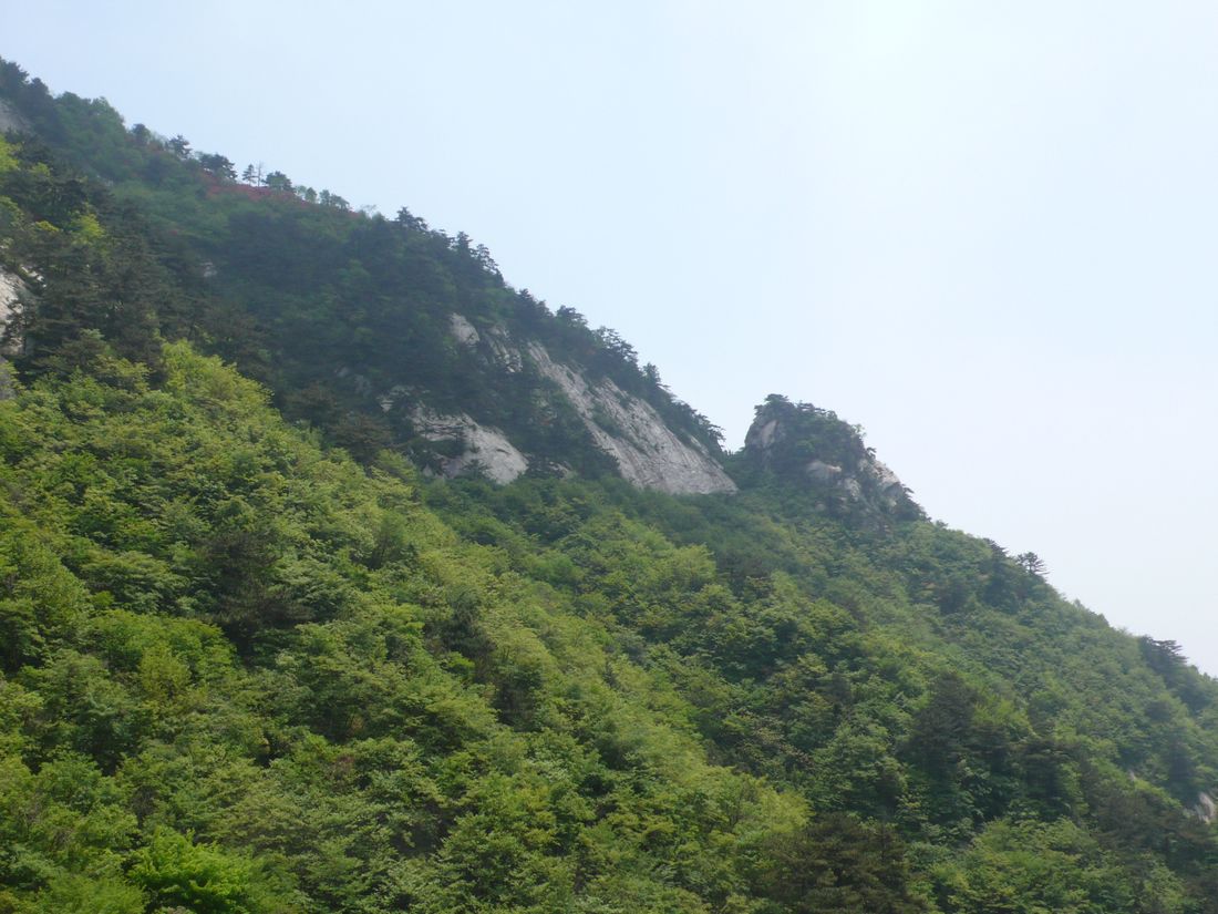 l1120304.jpg