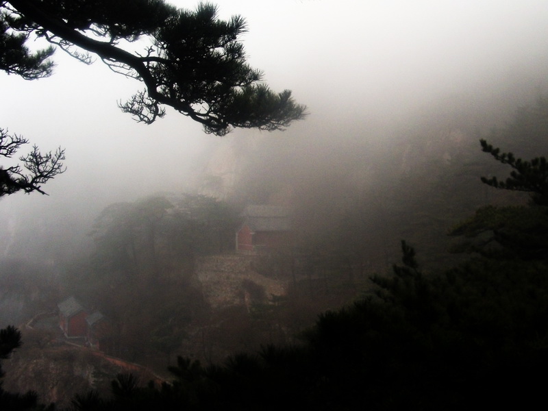 dscf0223.jpg