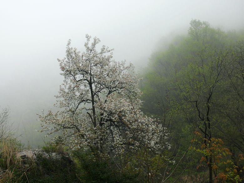 p1200053.jpg