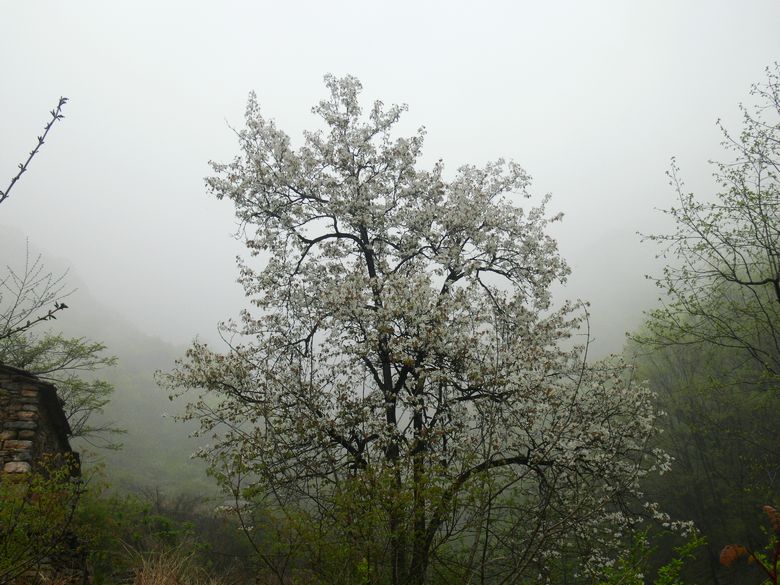 p1200055.jpg