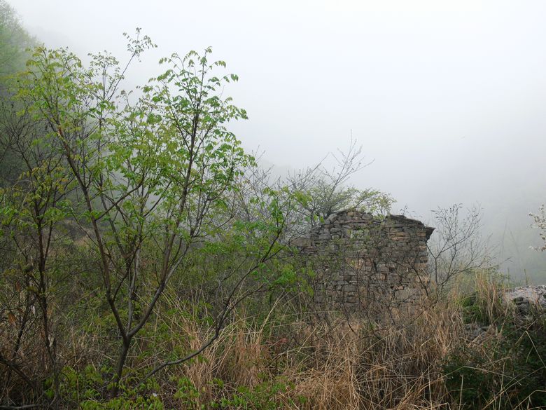 p1200054.jpg