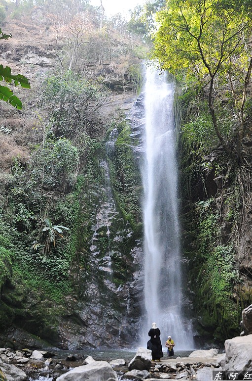 dsc_0852.jpg
