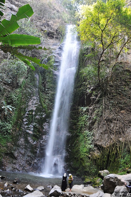 dsc_0855.jpg