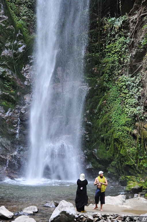 dsc_0856.jpg