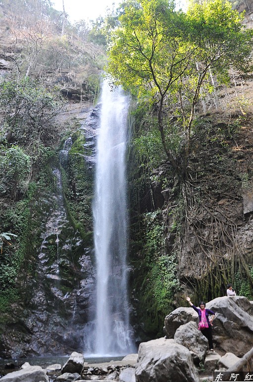 dsc_0851.jpg