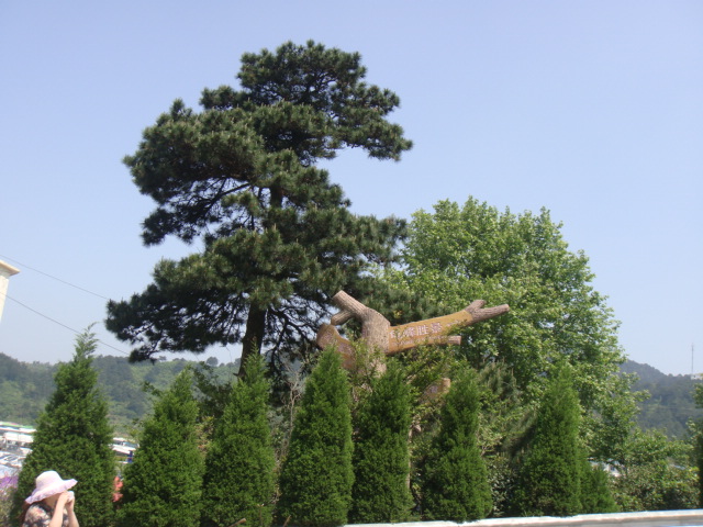 dsc05566.jpg