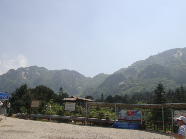 ǿž (1).jpg