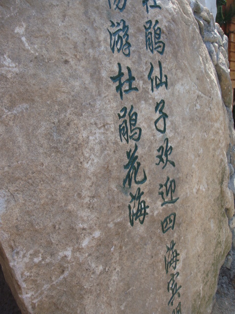 ǿž (3).jpg