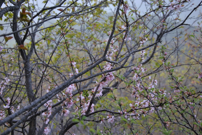 20120429һ۵_037_С.jpg