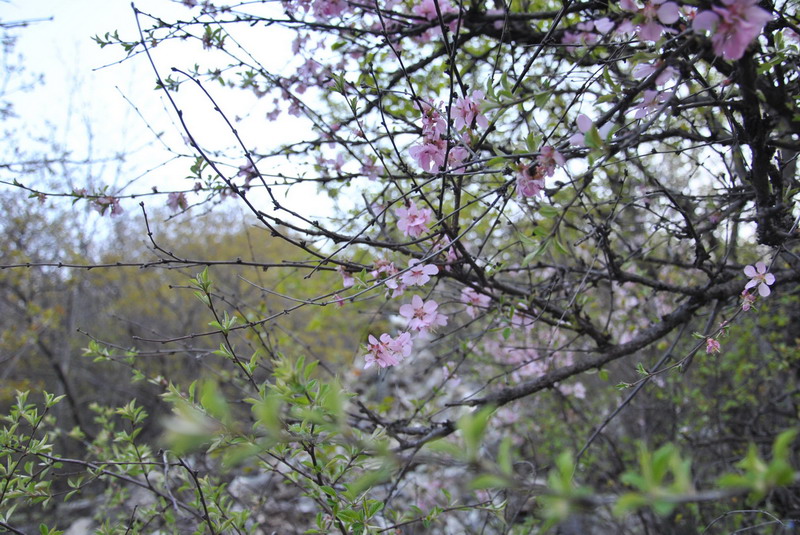 20120429һ۵_043_С.jpg