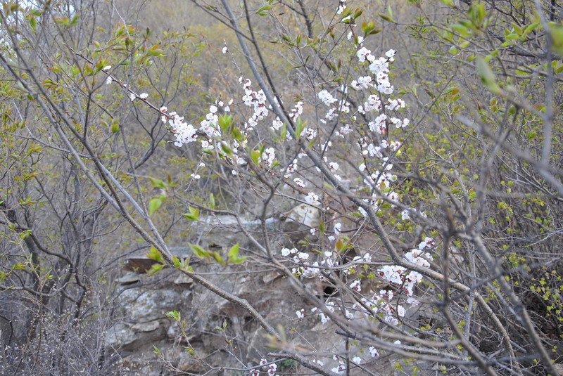 20120429һ۵_085_С.jpg
