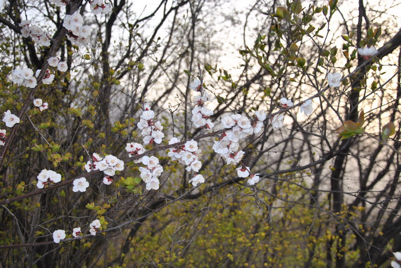 20120429һ۵_086_С.jpg