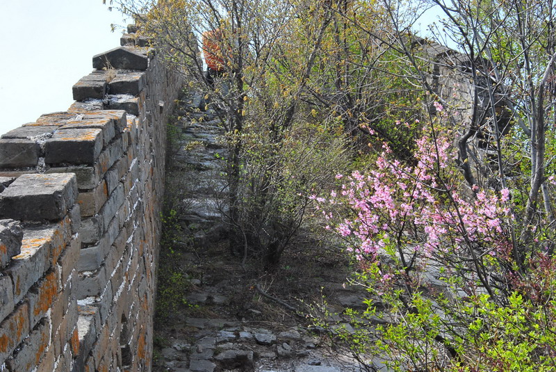 20120429һ۵_322_С.jpg
