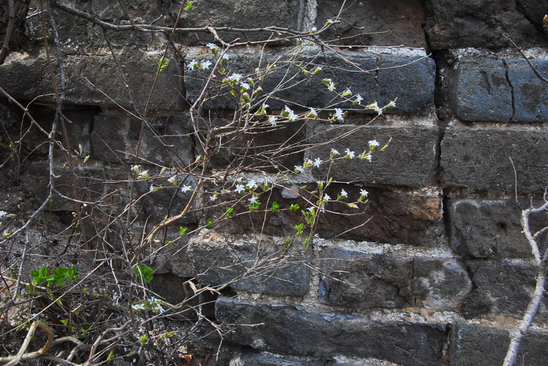 20120429һ۵_377_С.jpg