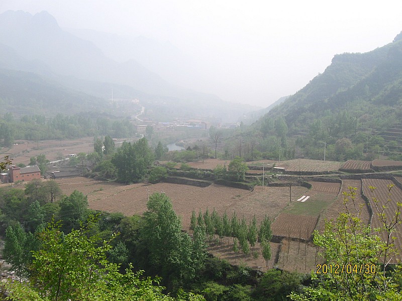 conew_img_52391.jpg