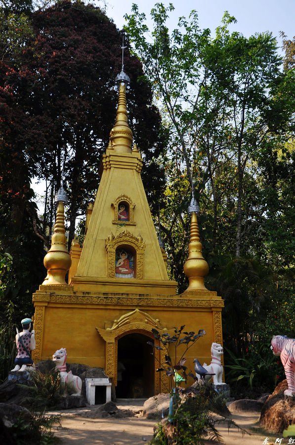 dsc_0913.jpg