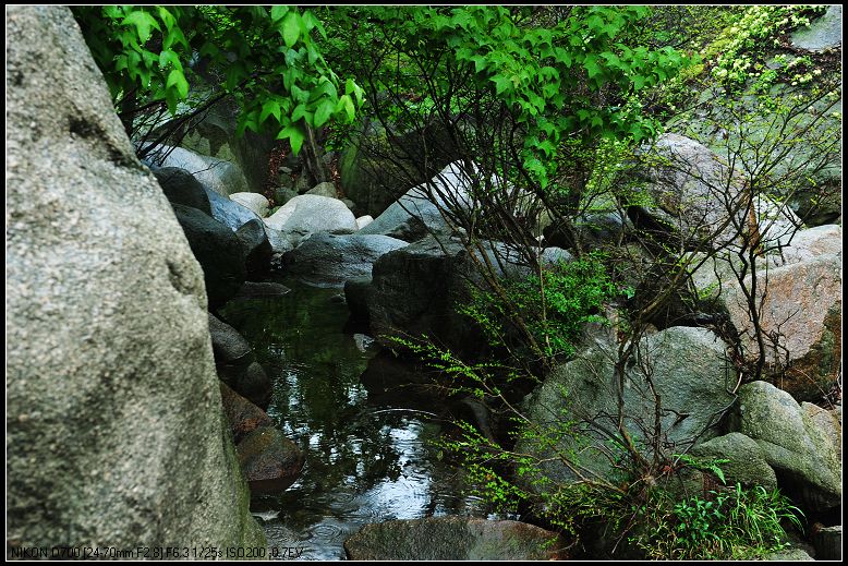 dsc_1805.jpg