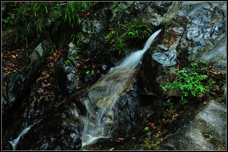 dsc_1809.jpg