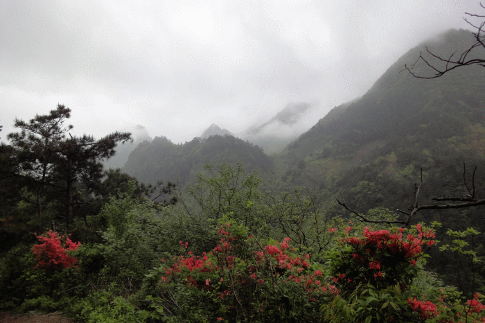 dsc09196.gif