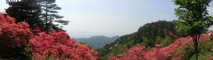 140.jpg