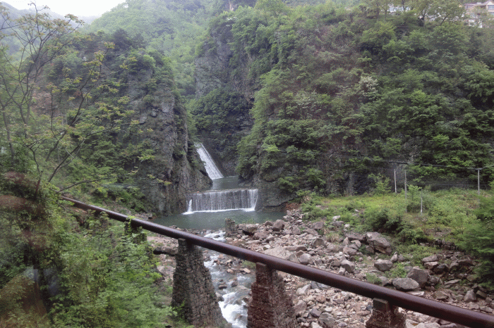 dsc09131.gif