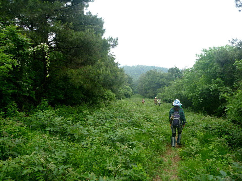p1110564_.jpg