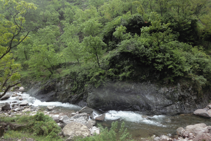 dsc09135.gif