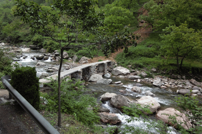 dsc09137.gif