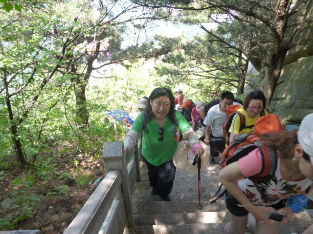 p1020754.jpg