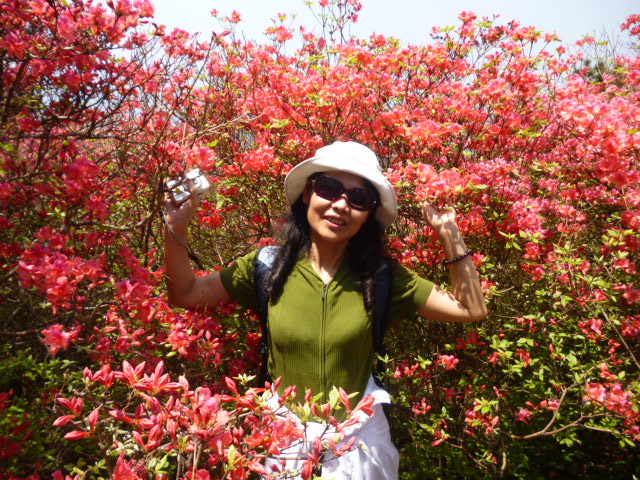 p1020849.jpg