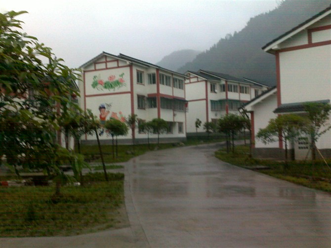 psucalo1sma.jpg