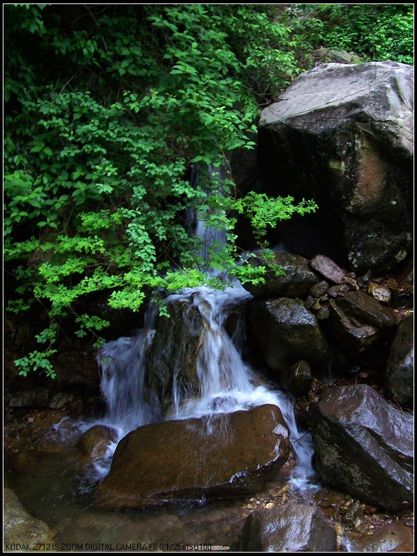 100_4973-1.jpg