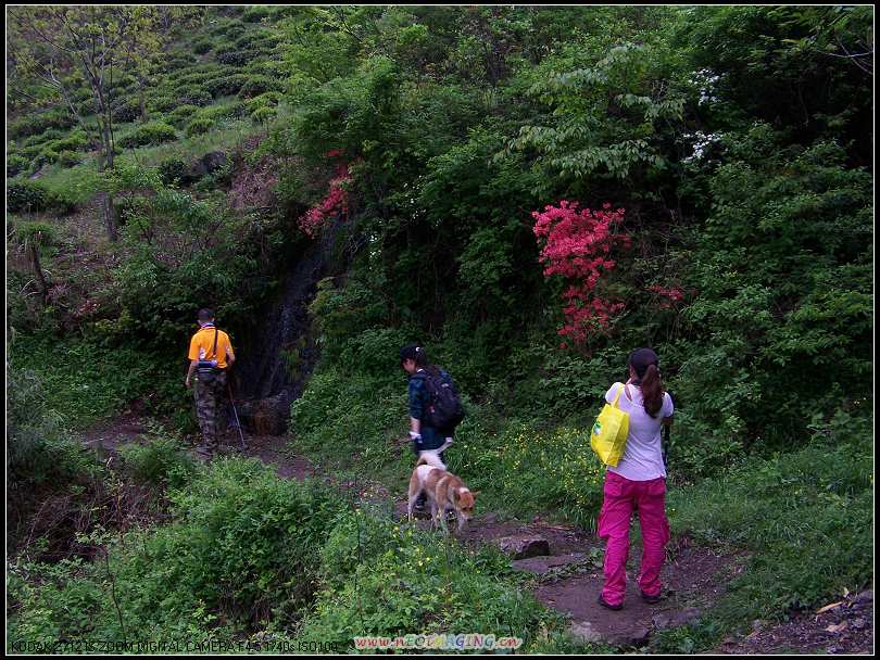 100_5042-1.jpg