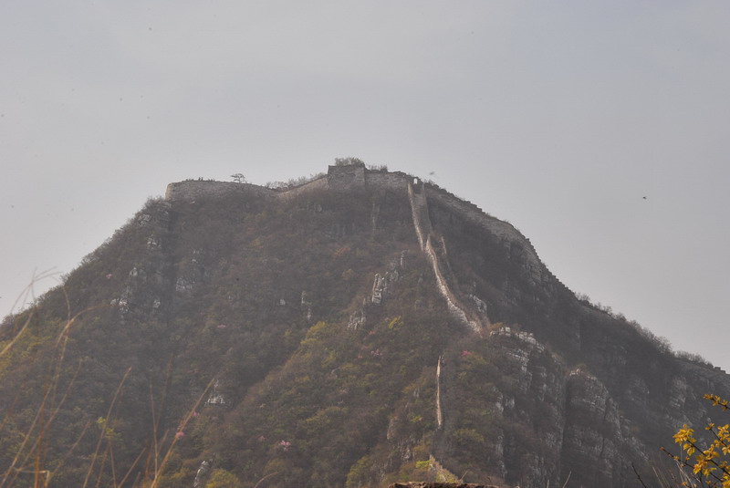 dsc_0517.jpg