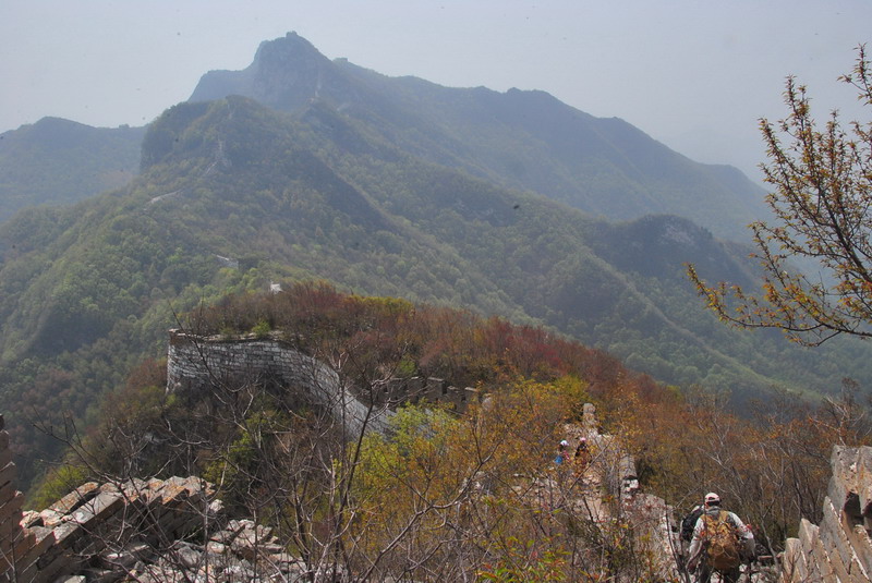 dsc_0593.jpg