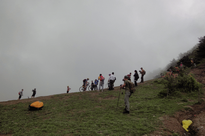 dsc09206.gif